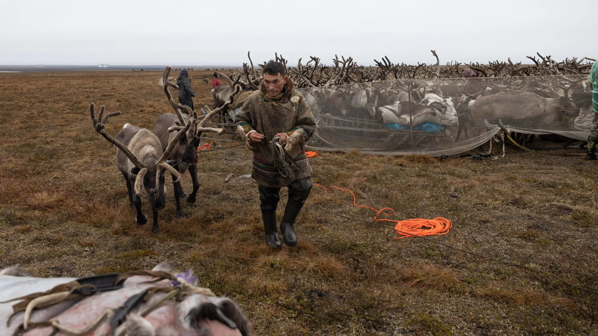 Фото: Федор Воронов / «Ямал-Медиа»