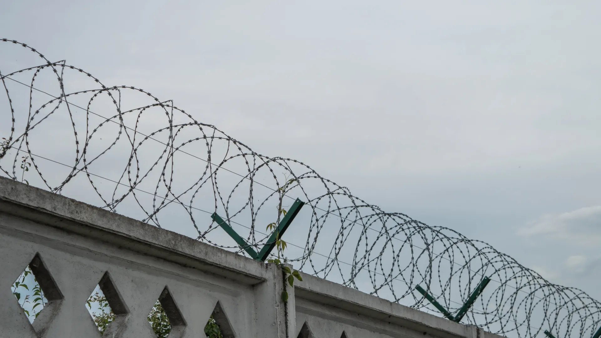 Ямалец отправится в колонию общего на полтора года. Фото: Stepan17 / Shutterstock / Fotodom