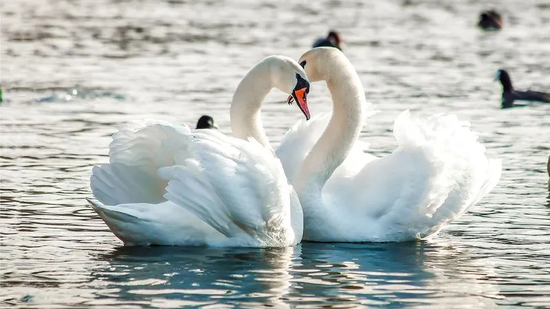 Фото: Dmitry Demkin / Shutterstock / Fotodom