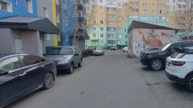 Фото предоставлено пресс-службой Госавтоинспекции Ноябрьска