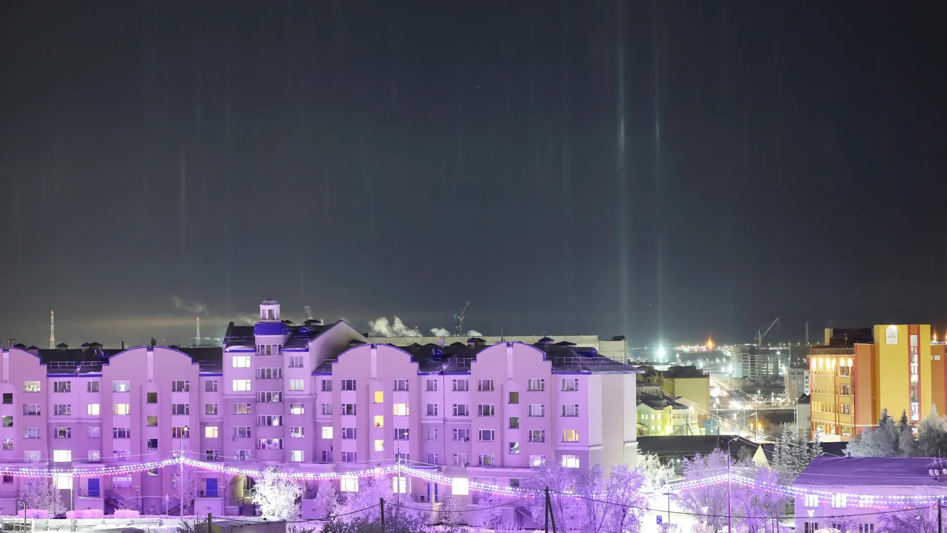 Фото: Андрей Ткачев / «Ямал-Медиа»