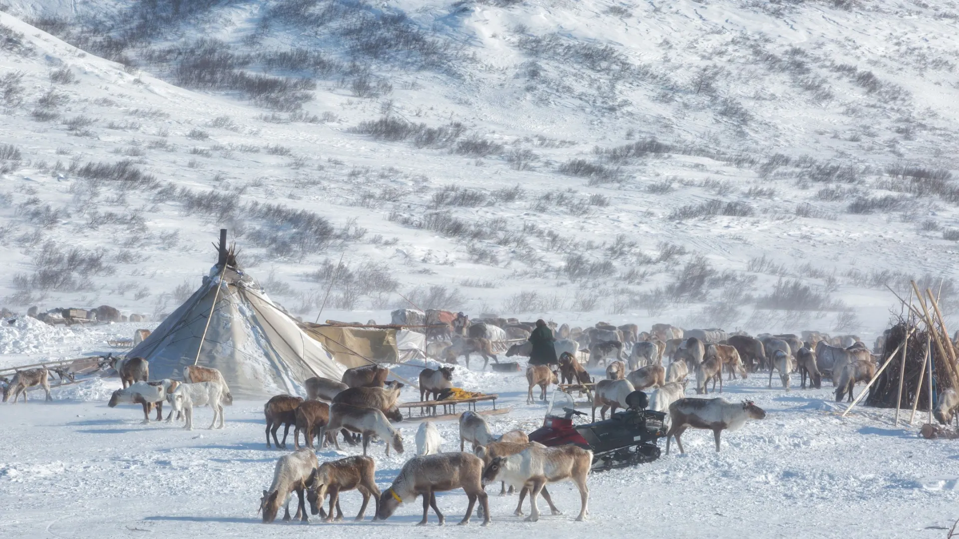 Фото: Shchipkova Elena / Shutterstock / Fotodom