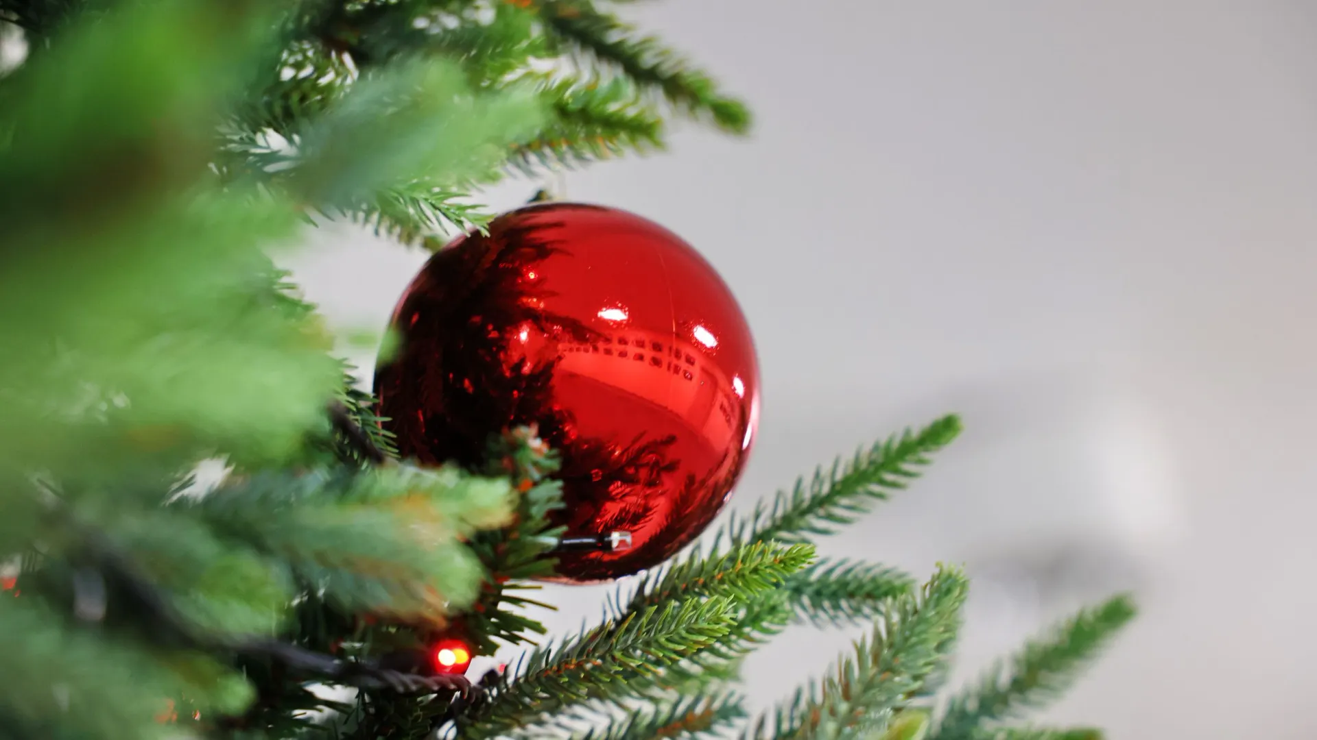 Фото: Андрей Ткачев / «Ямал-Медиа»