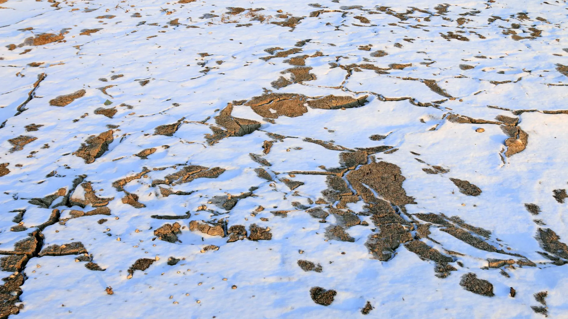 Фото: Yuangeng Zhang / Shutterstock / Fotodom