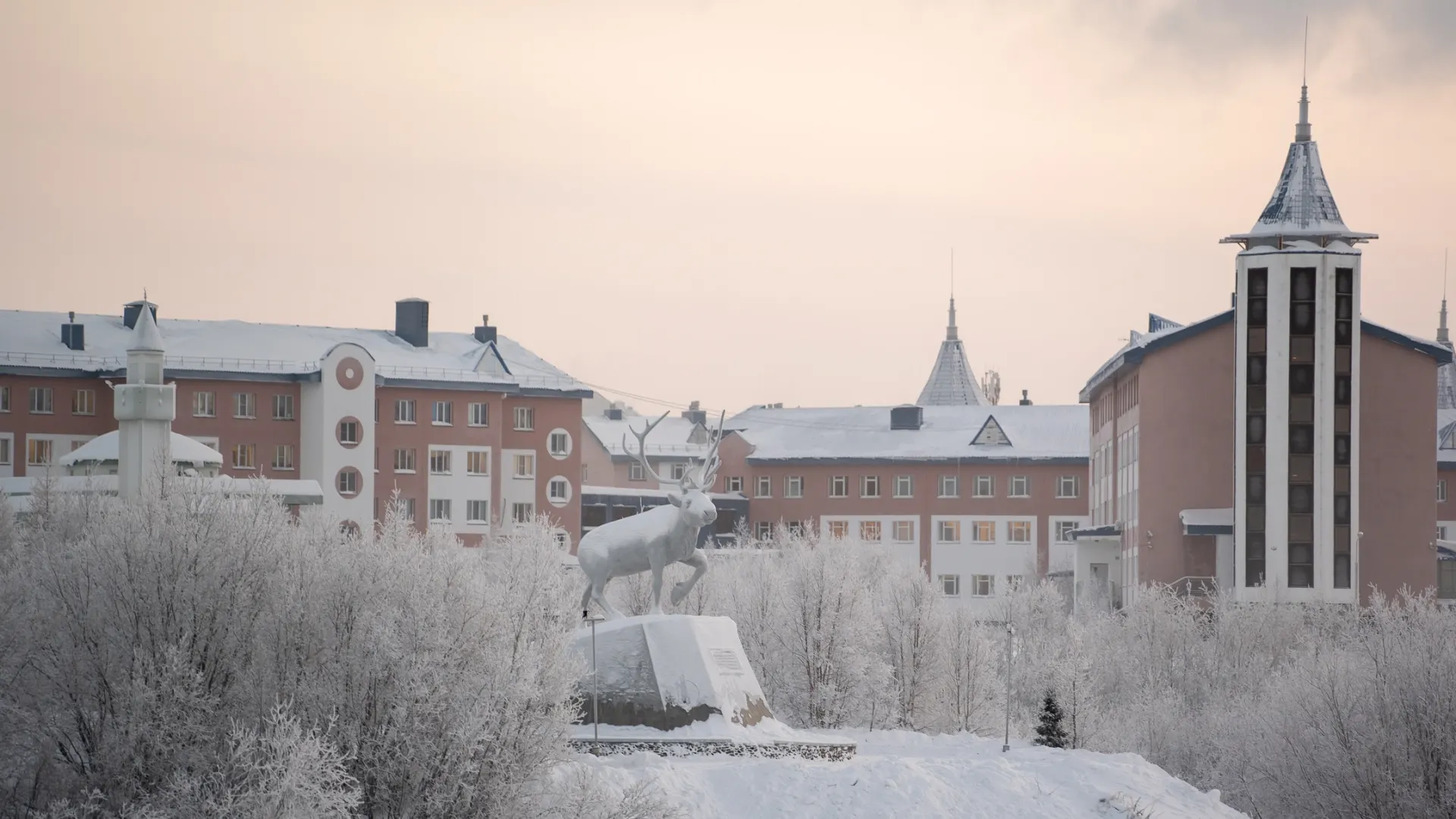 Фото: Сергей Зубков / «Ямал-Медиа»