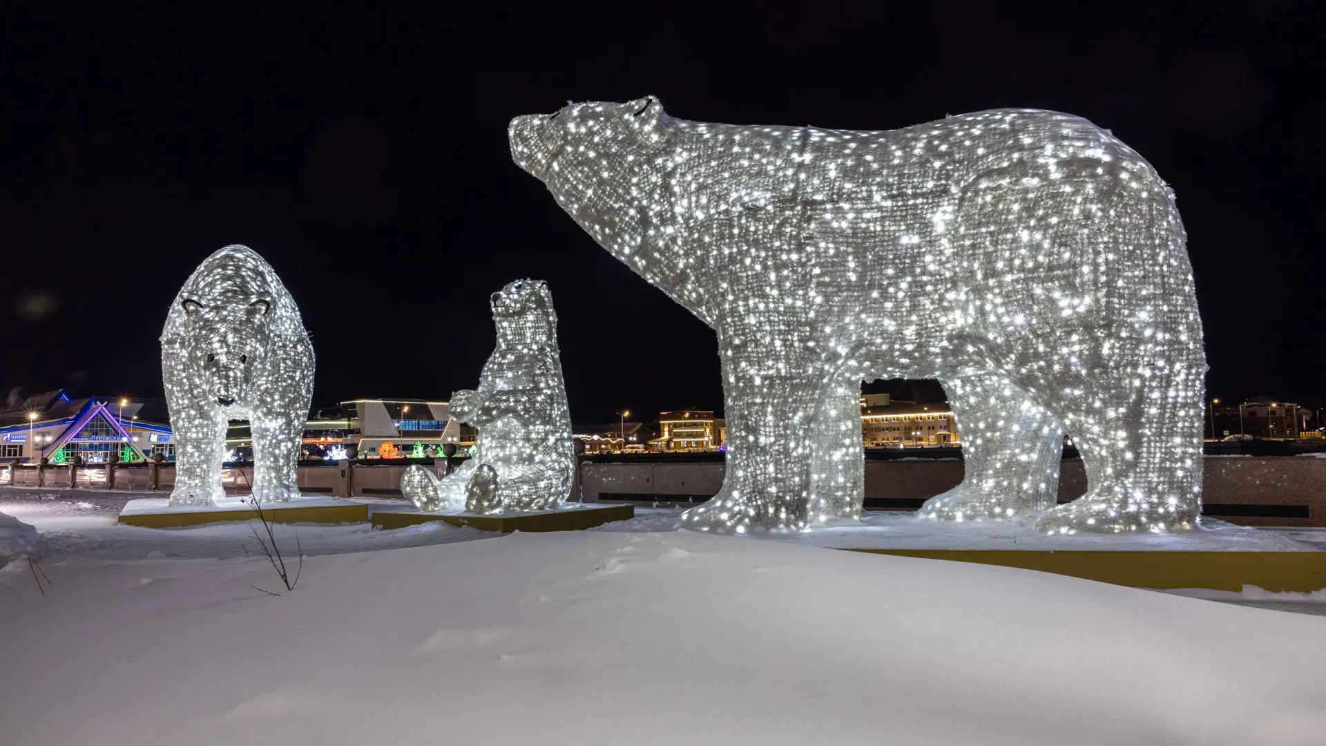 Фото: Федор Воронов / «Ямал-Медиа»