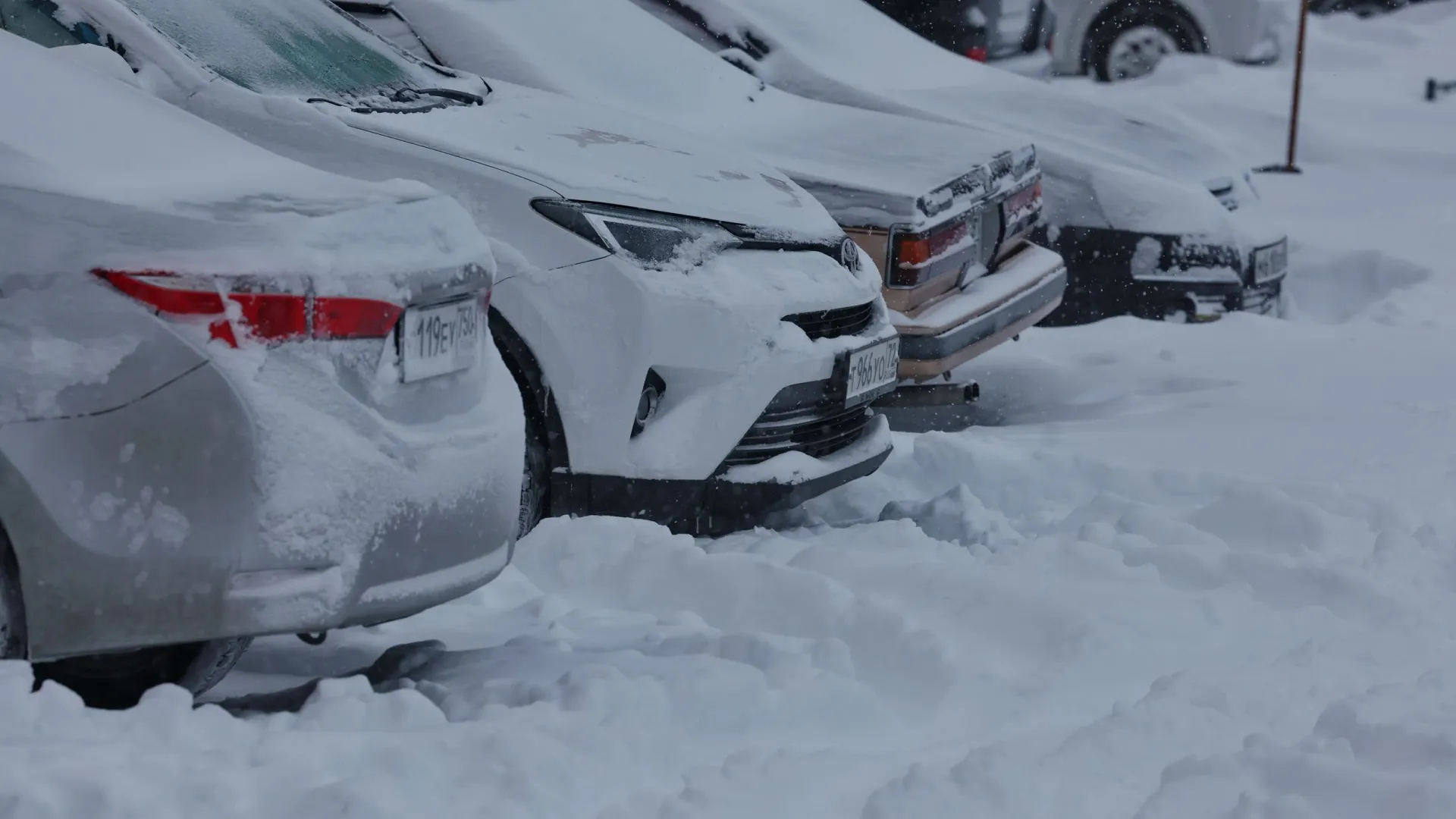 Фото: Андрей Ткачев / «Ямал-Медиа»
