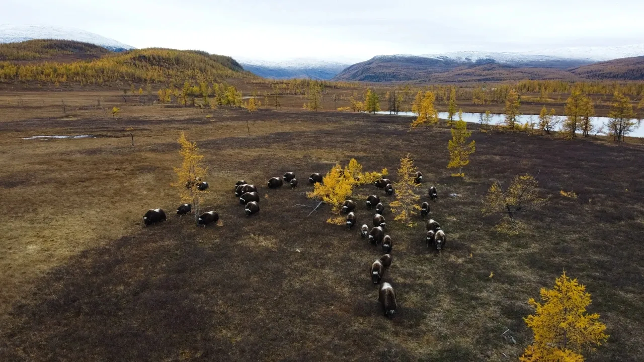 Фото предоставлено пресс-службой губернатора ЯНАО