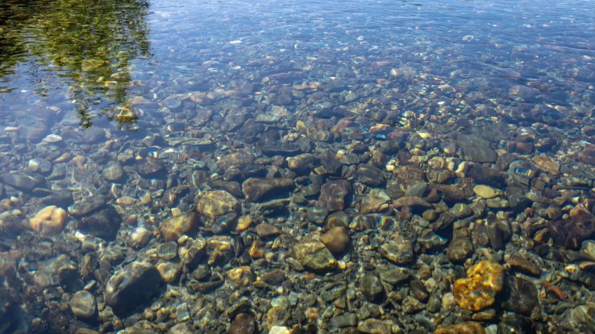 Фото: Федор Воронов / «Ямал-Медиа»