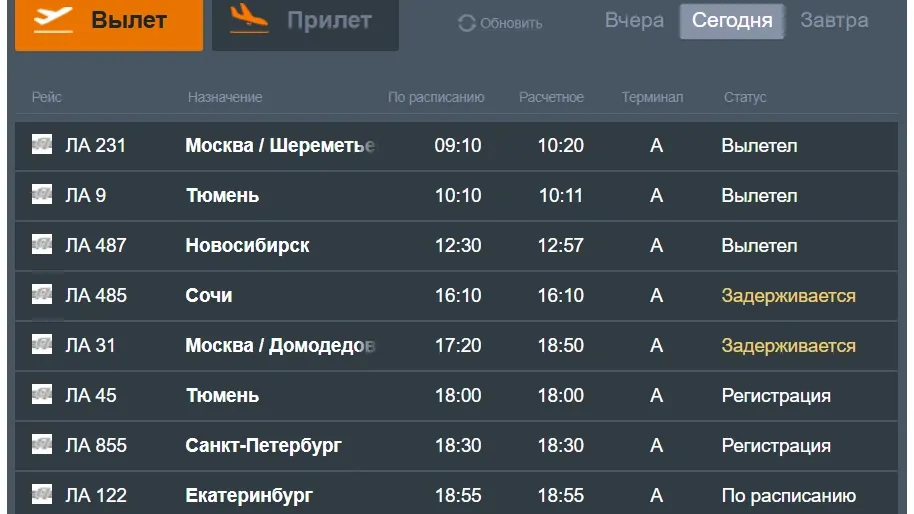 Задержка рейсов на вылет. Скриншот slyport.ru