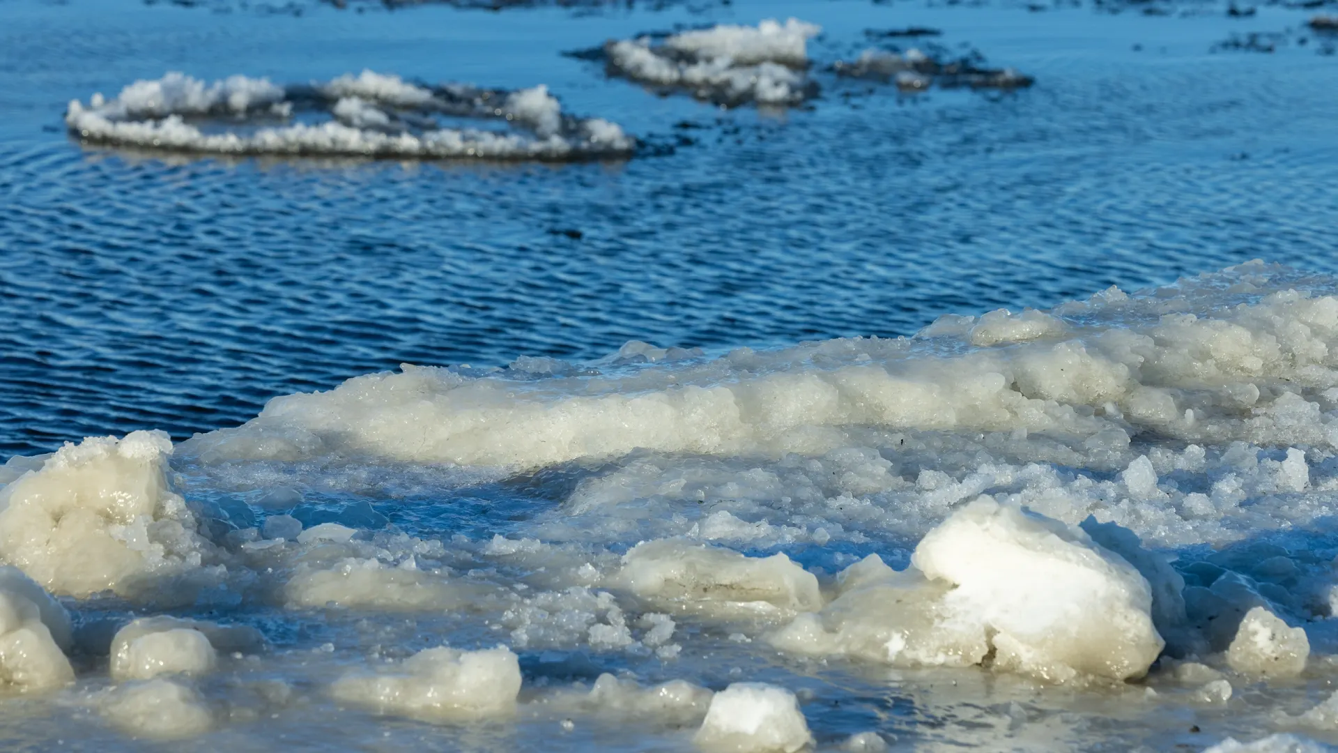 Фото: Федор Воронов / «Ямал-Медиа»