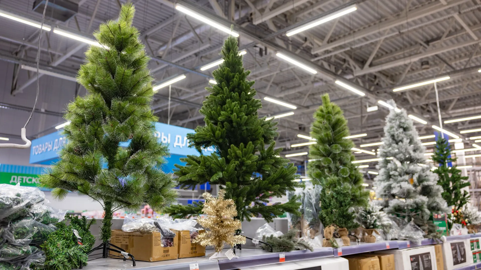 Фото: Юрий Здебский / «Ямал-Медиа»