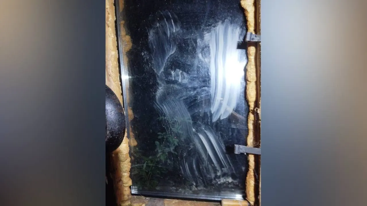 Медвежьи следы на окне. Фото предоставил Дмитрий Мирошниченко