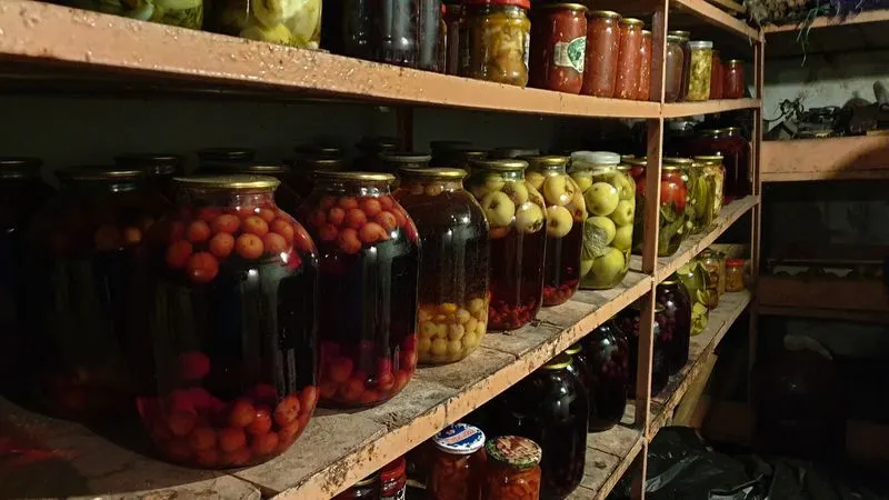 Фото: Evgeni Lukianenko / Shutterstock / Fotodom