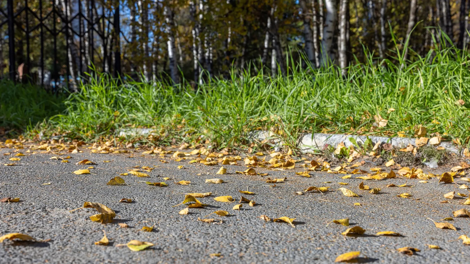 Фото: Федор Воронов / «Ямал-Медиа»