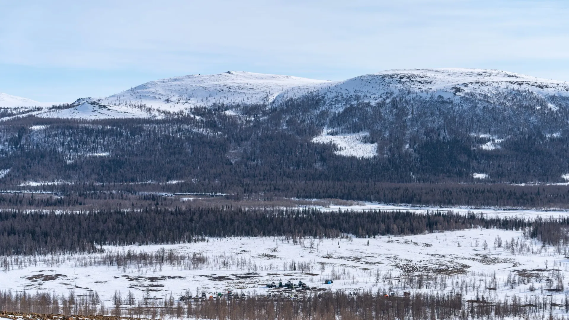 Фото: Сергей Зубков / «Ямал-Медиа»