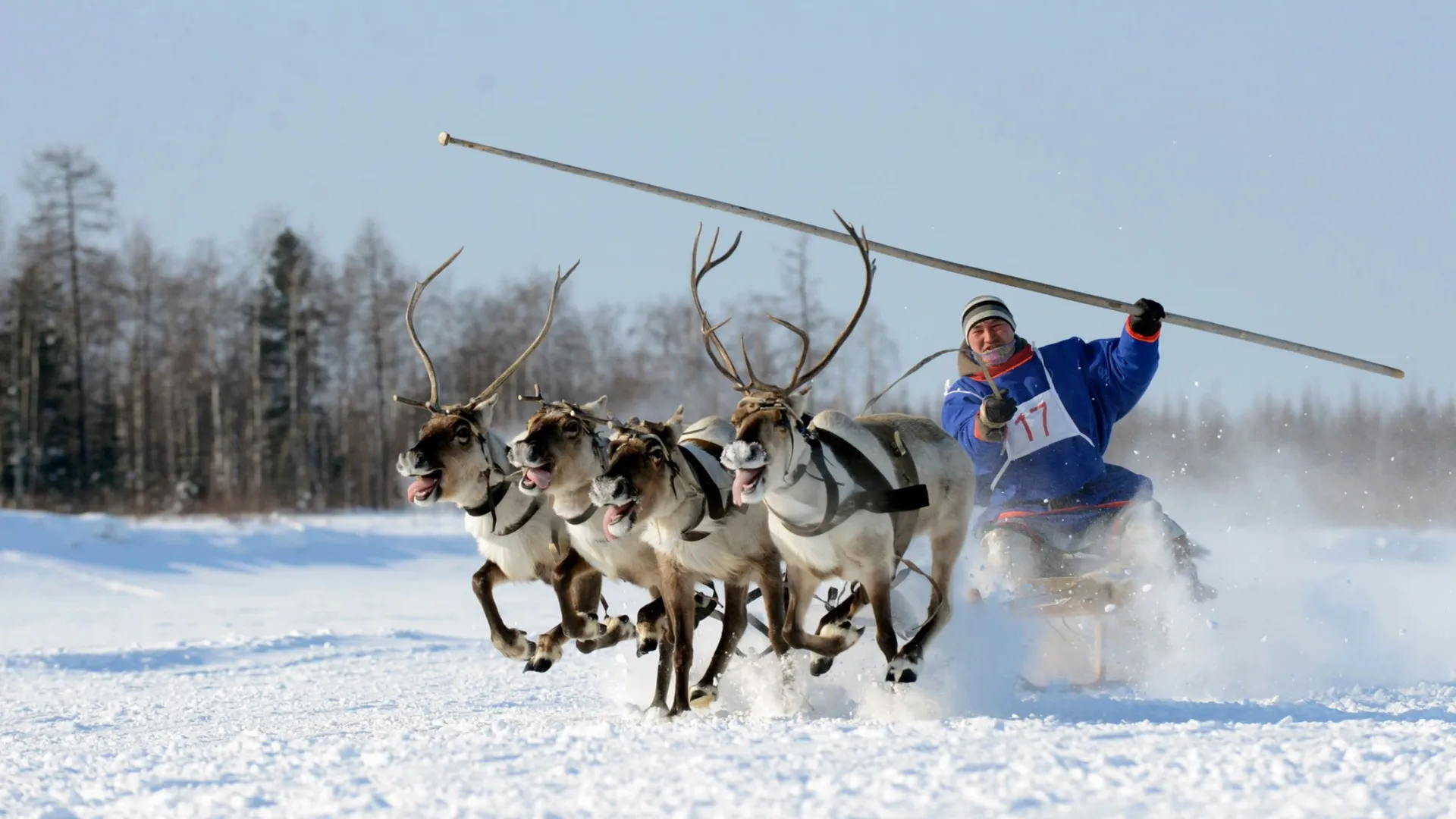 Фото: Sergey Rusanov / Shutterstock / Fotodom