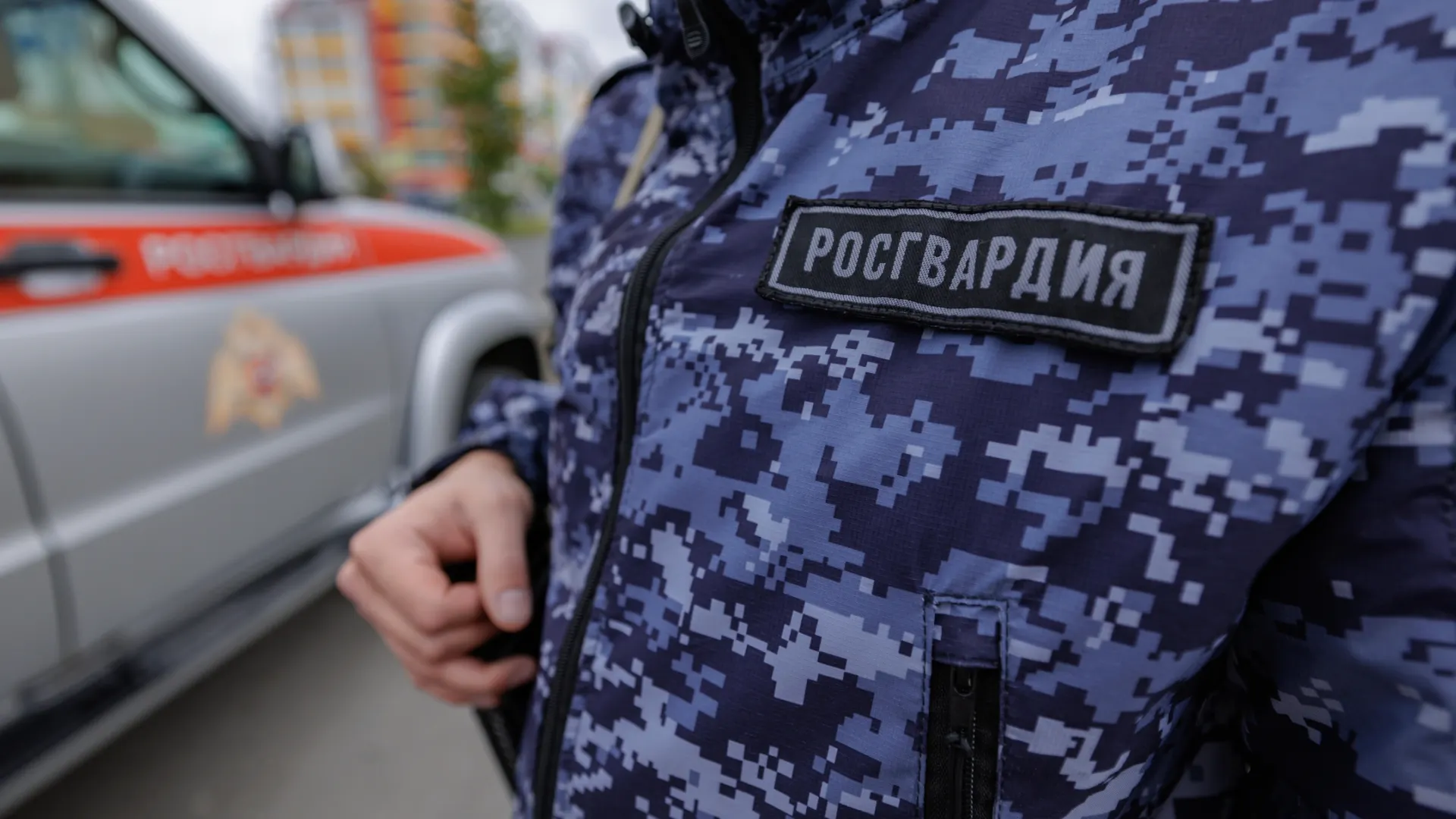 Фото: Юлия Чудинова / «Ямал-Медиа»