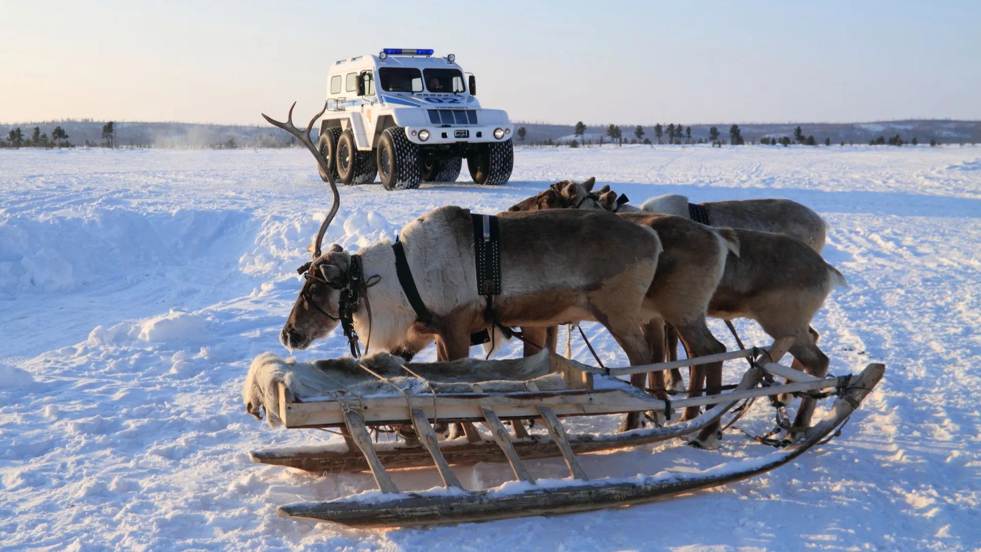 На Ямале стало больше вездеходов. Фото: Grigorii Pisotsckii / Shutterstock / Fotodom