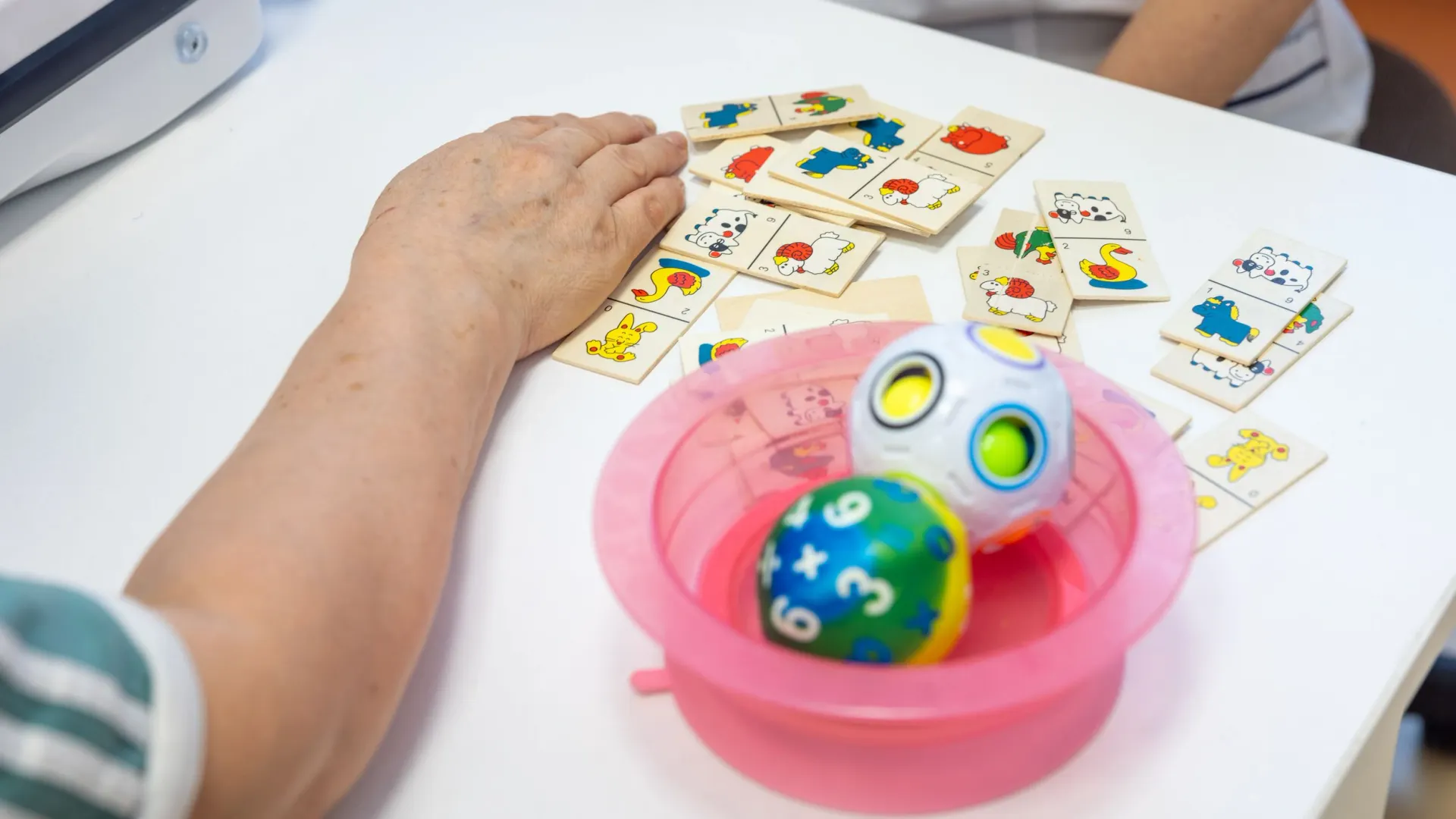 Фото: Федор Воронов / «Ямал-Медиа»