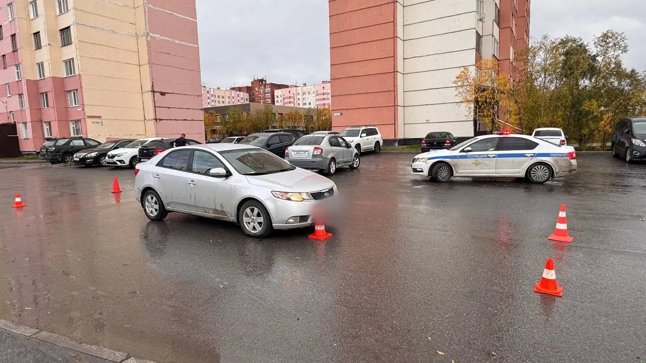 Фото предоставлено Госавтоинспекцией ЯНАО