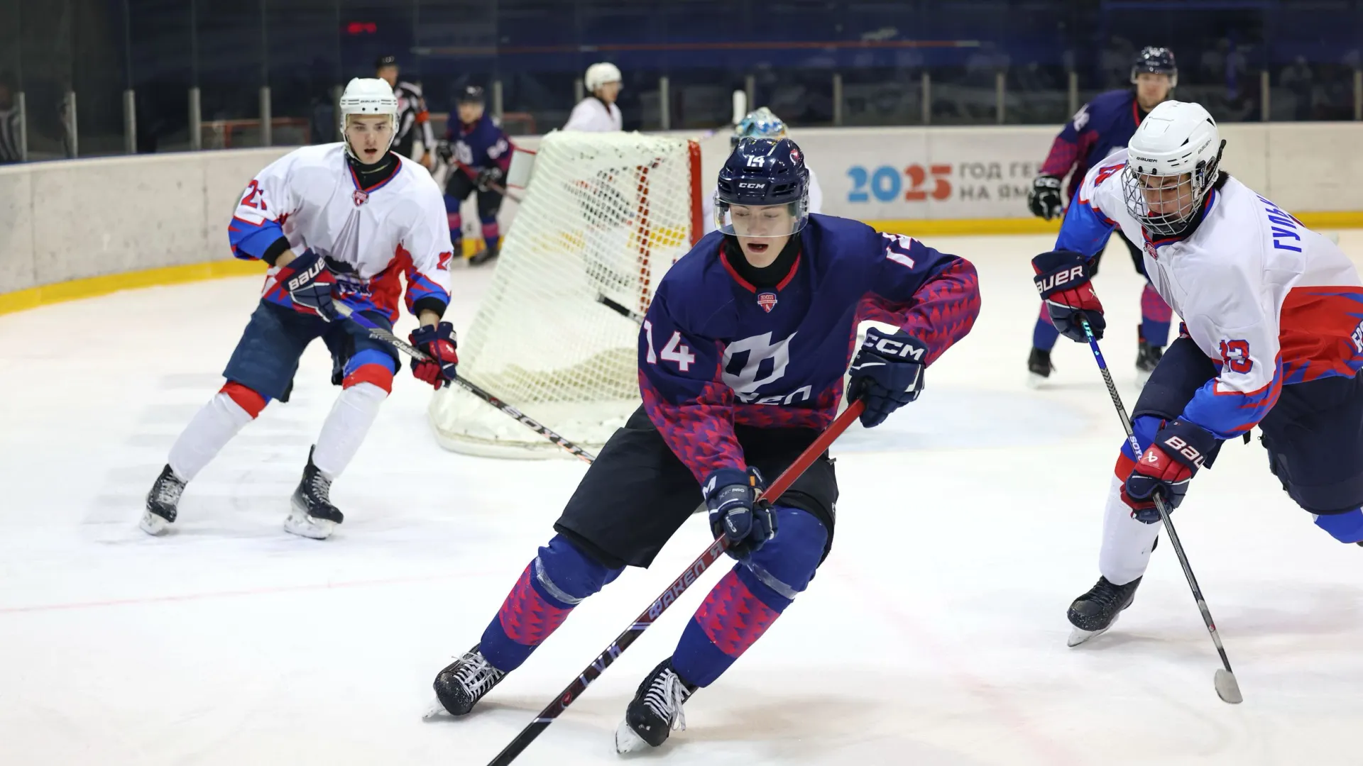 Фото: Андрей Ткачев / «Ямал-Медиа» 