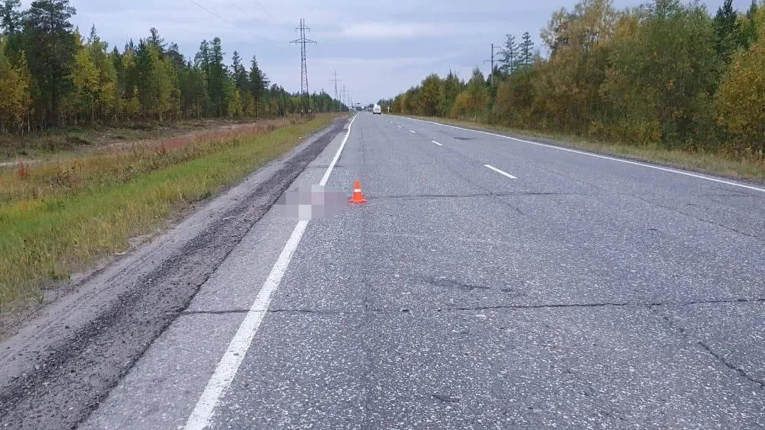 Фото предоставлено Госавтоинспекцией ЯНАО