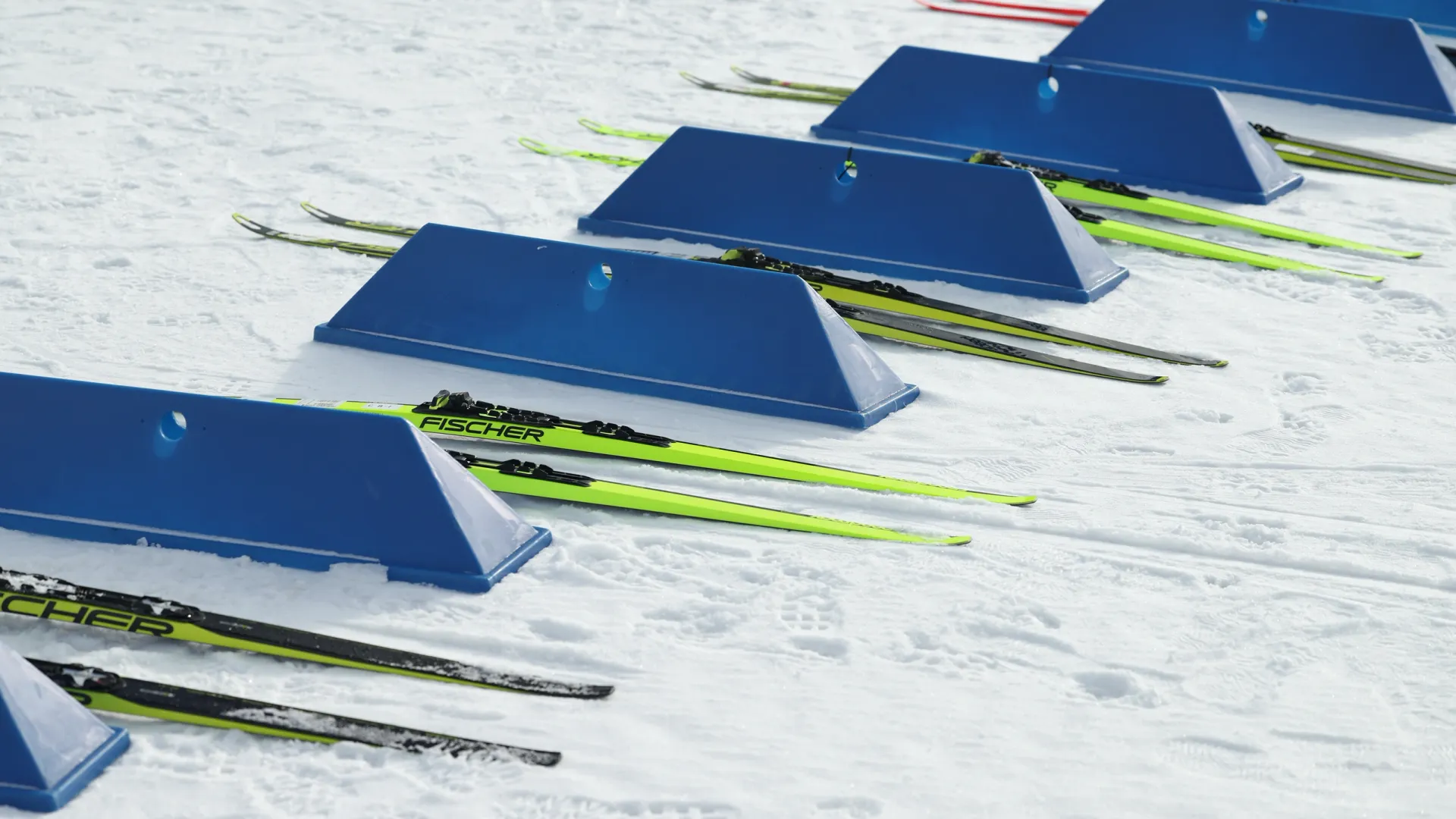 Фото: Андрей Ткачев / «Ямал-Медиа»