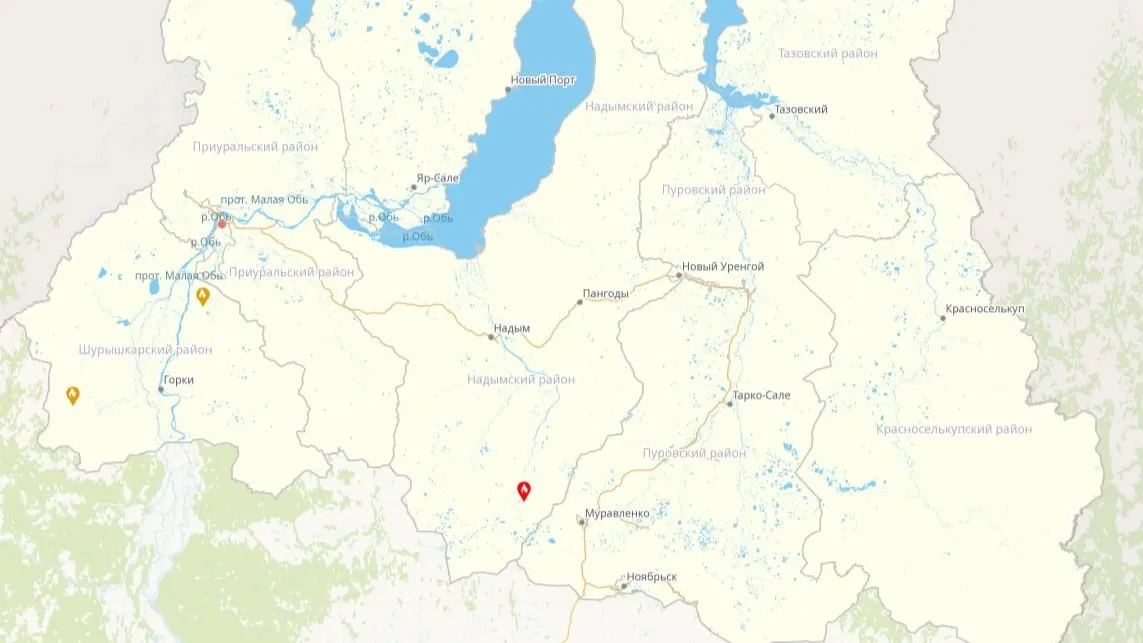 Карта лесных пожаров. Фото: скриншот map.yanao.ru