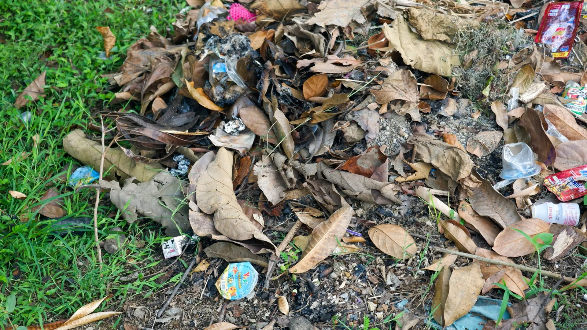 Фото: Ajie hari / Shutterstock / Fotodom