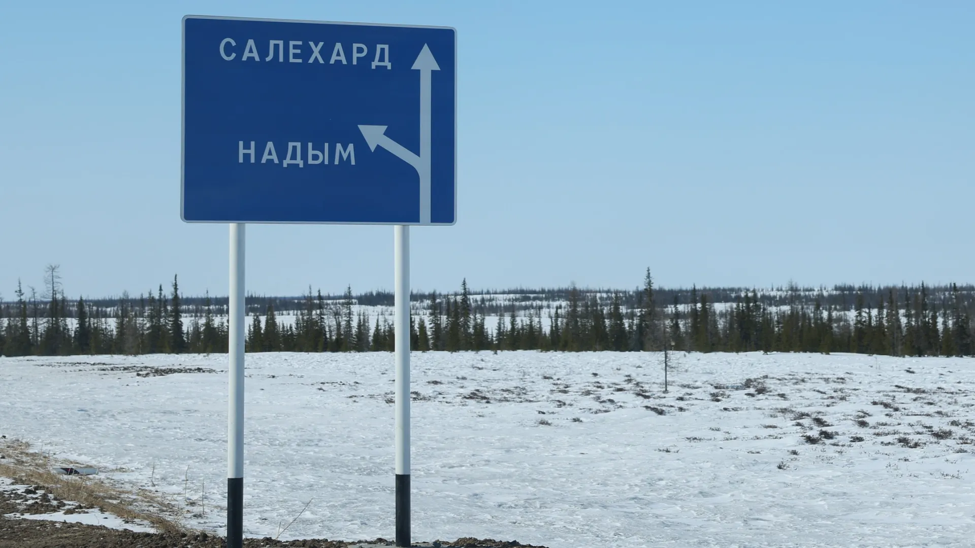 Фото: Андрей Ткачев / «Ямал-Медиа»