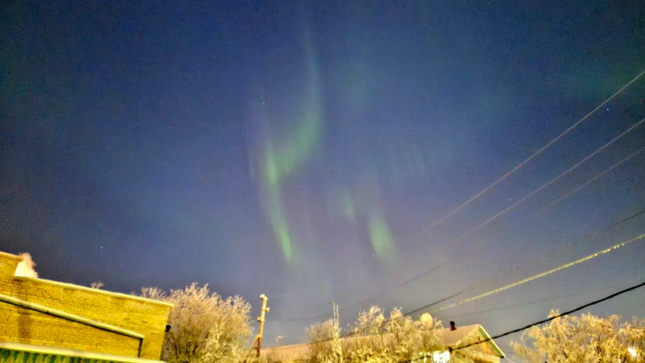 Фото: Елена Миленина / «Ямал-Медиа»