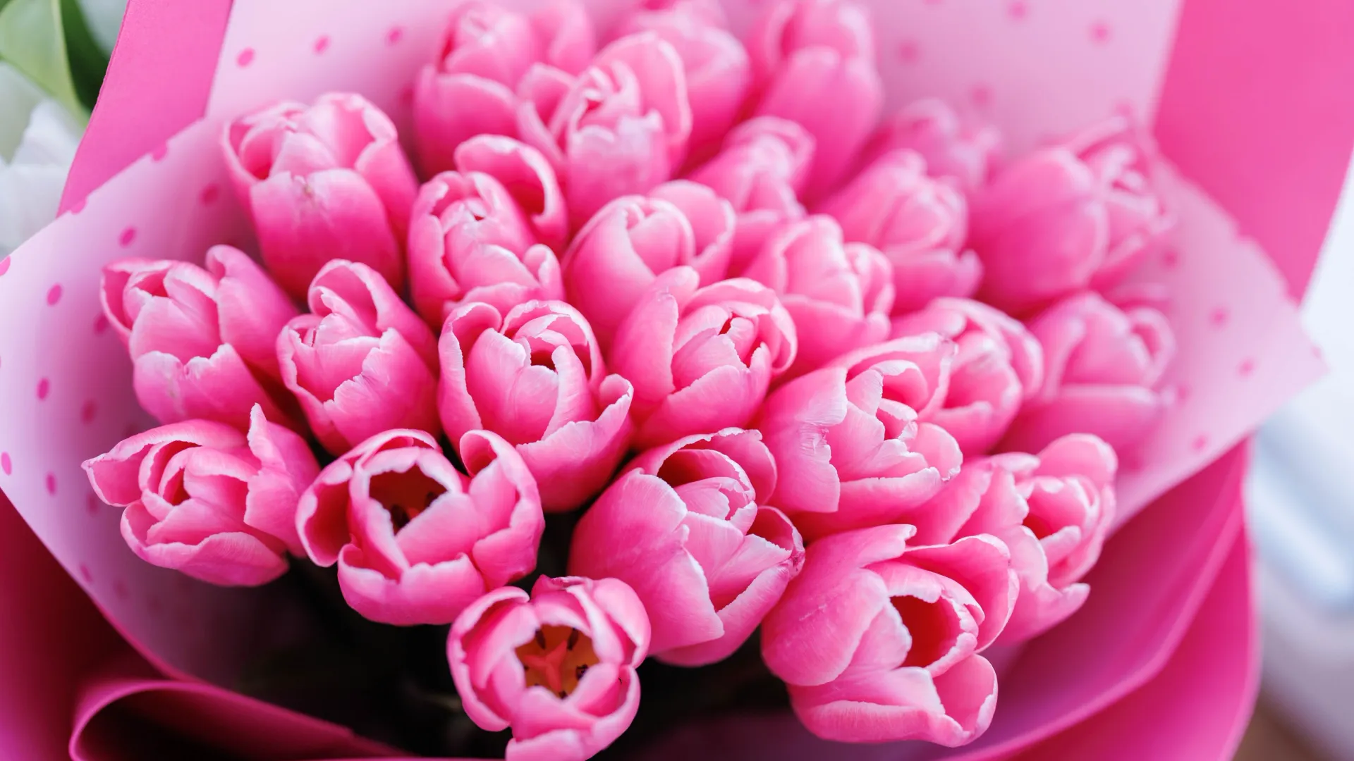 Фото: Юлия Чудинова /«Ямал-Медиа»