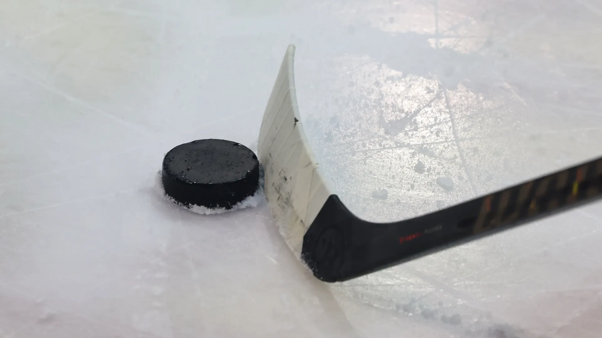 Фото: Андрей Ткачев / «Ямал-Медиа»