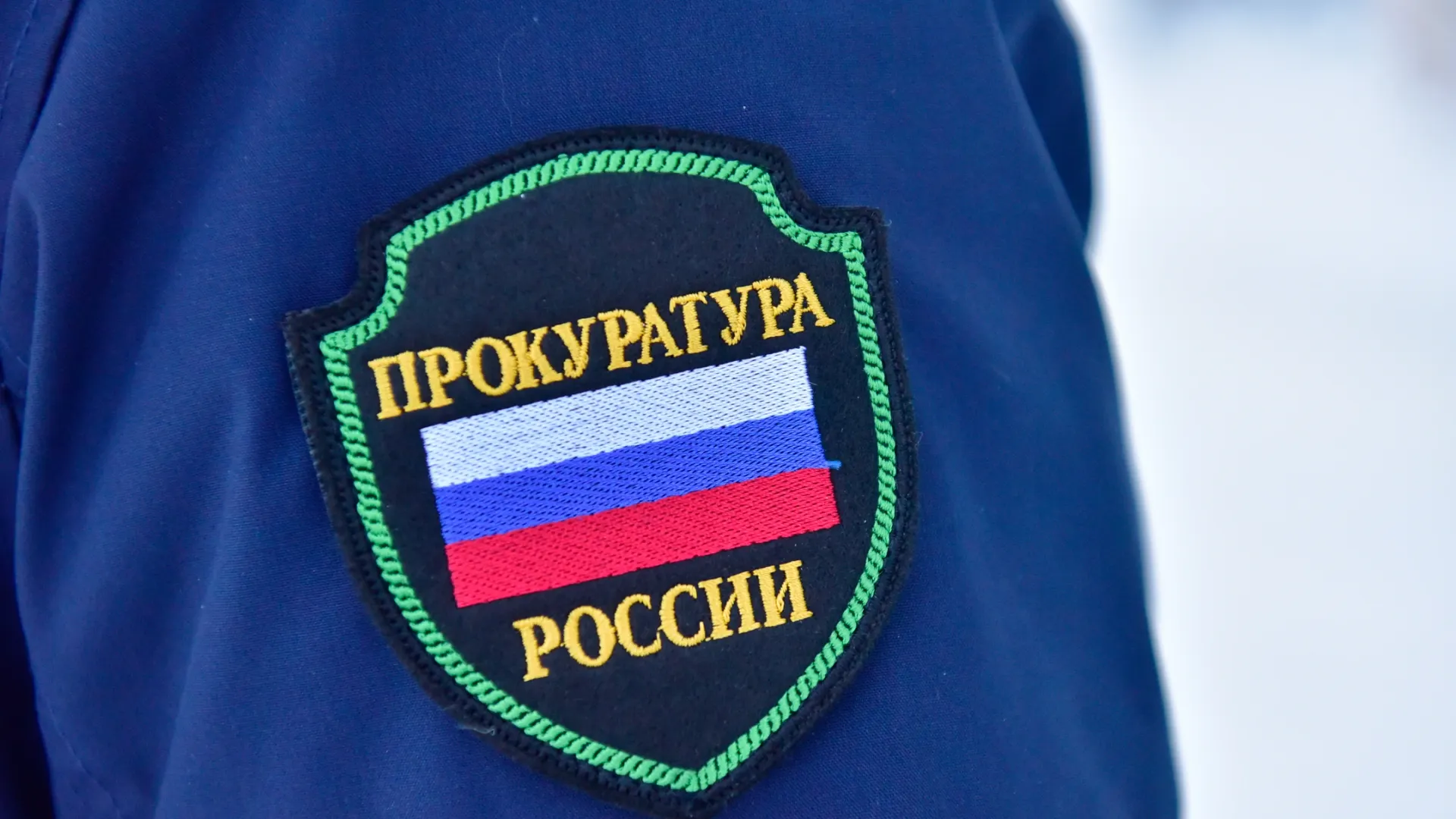 Фото: Андрей Ткачев / «Ямал-Медиа»