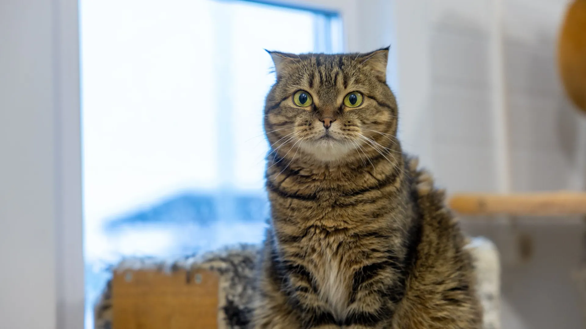 Фото: Федор Воронов / «Ямал-Медиа»