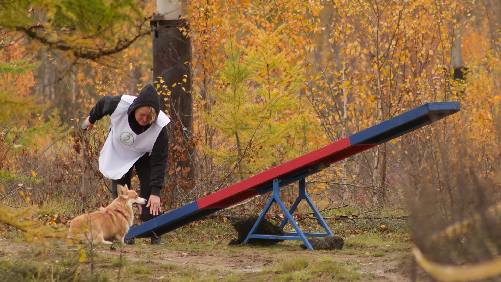 Мероприятие «Лапы в огне». Фото: личный архив Натальи Супрун 