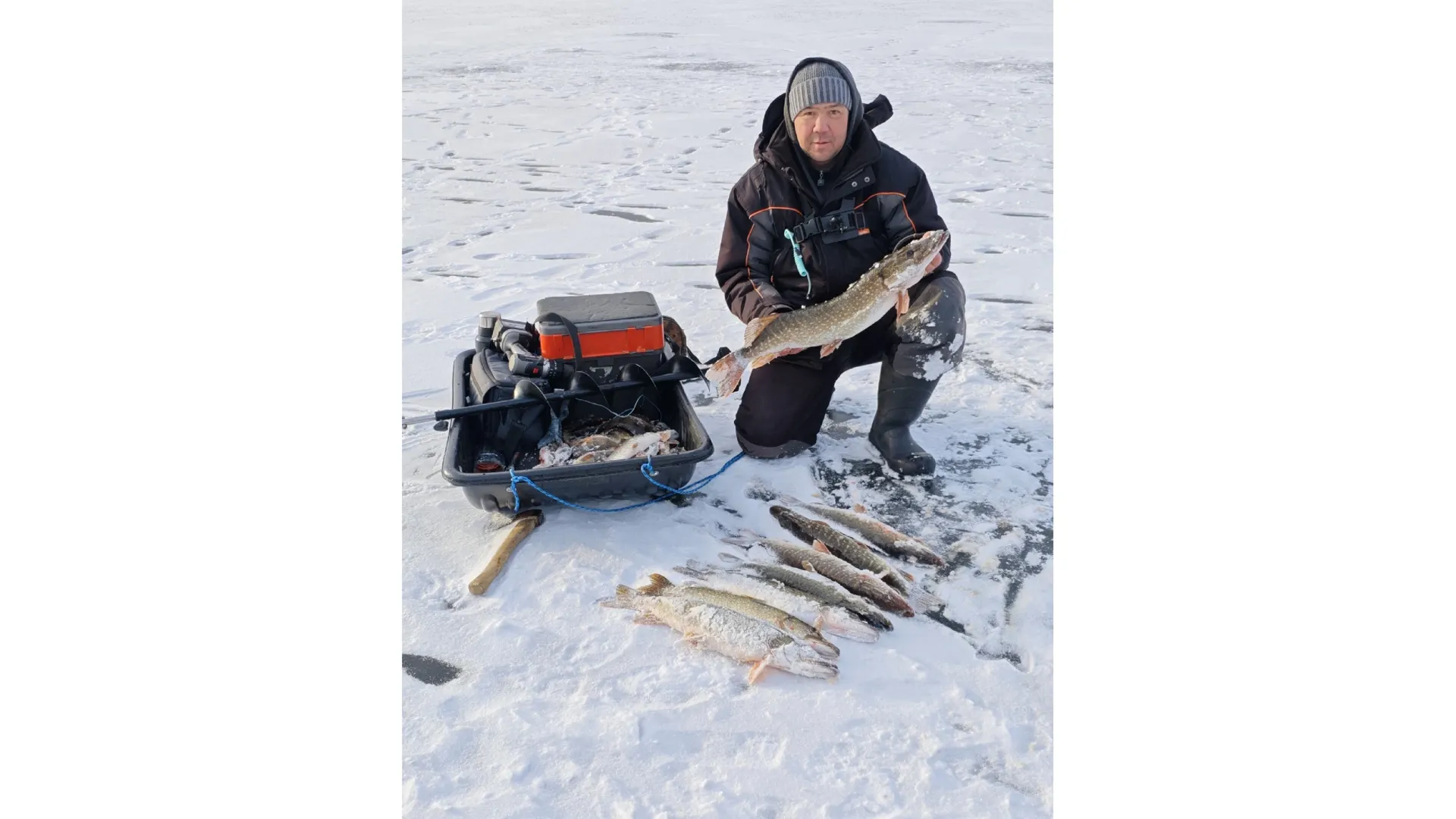 Фото: Владимир Петров / vk.com/club228147285