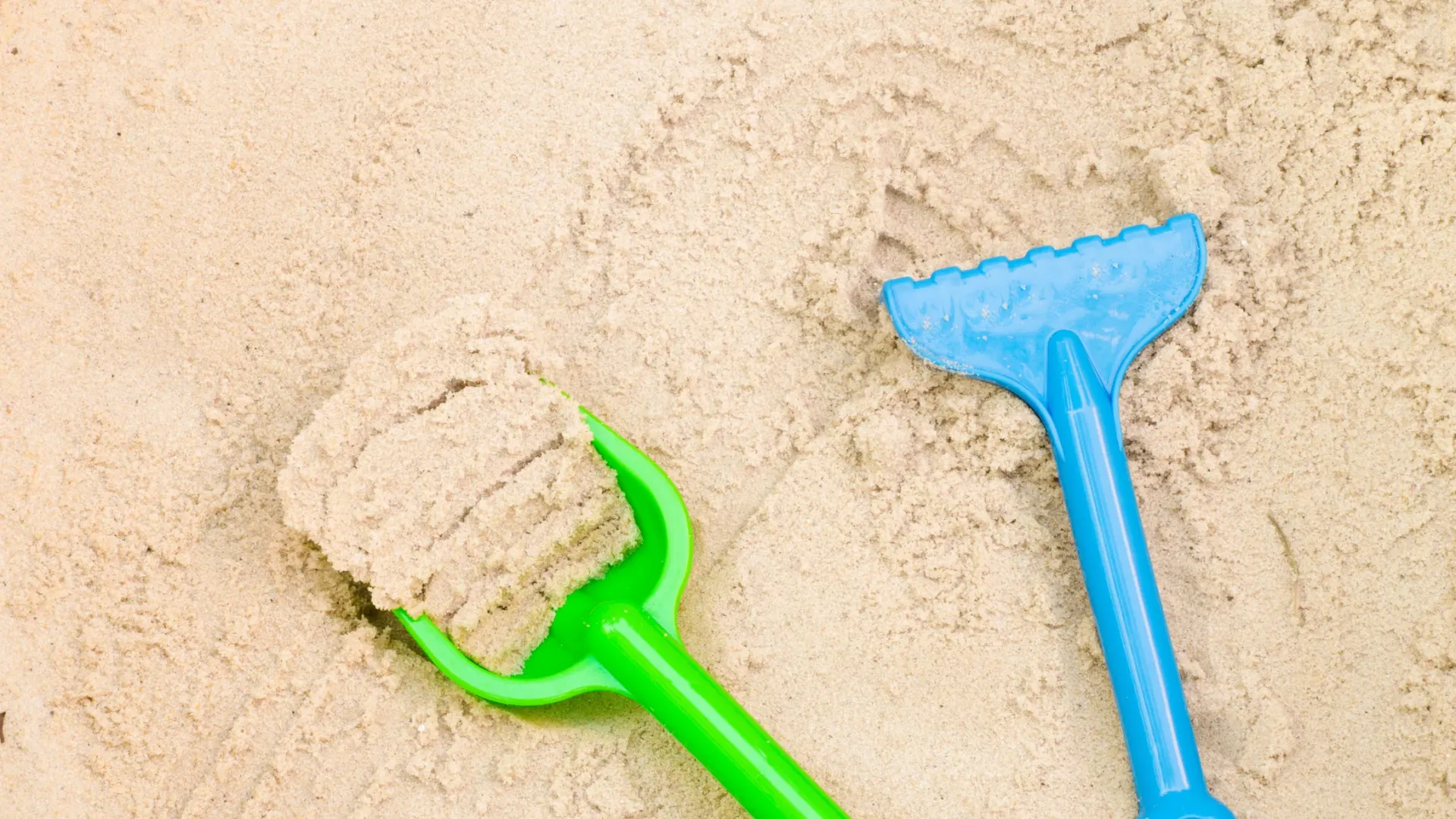 Фото: aga7ta/Shutterstock/Fotodom