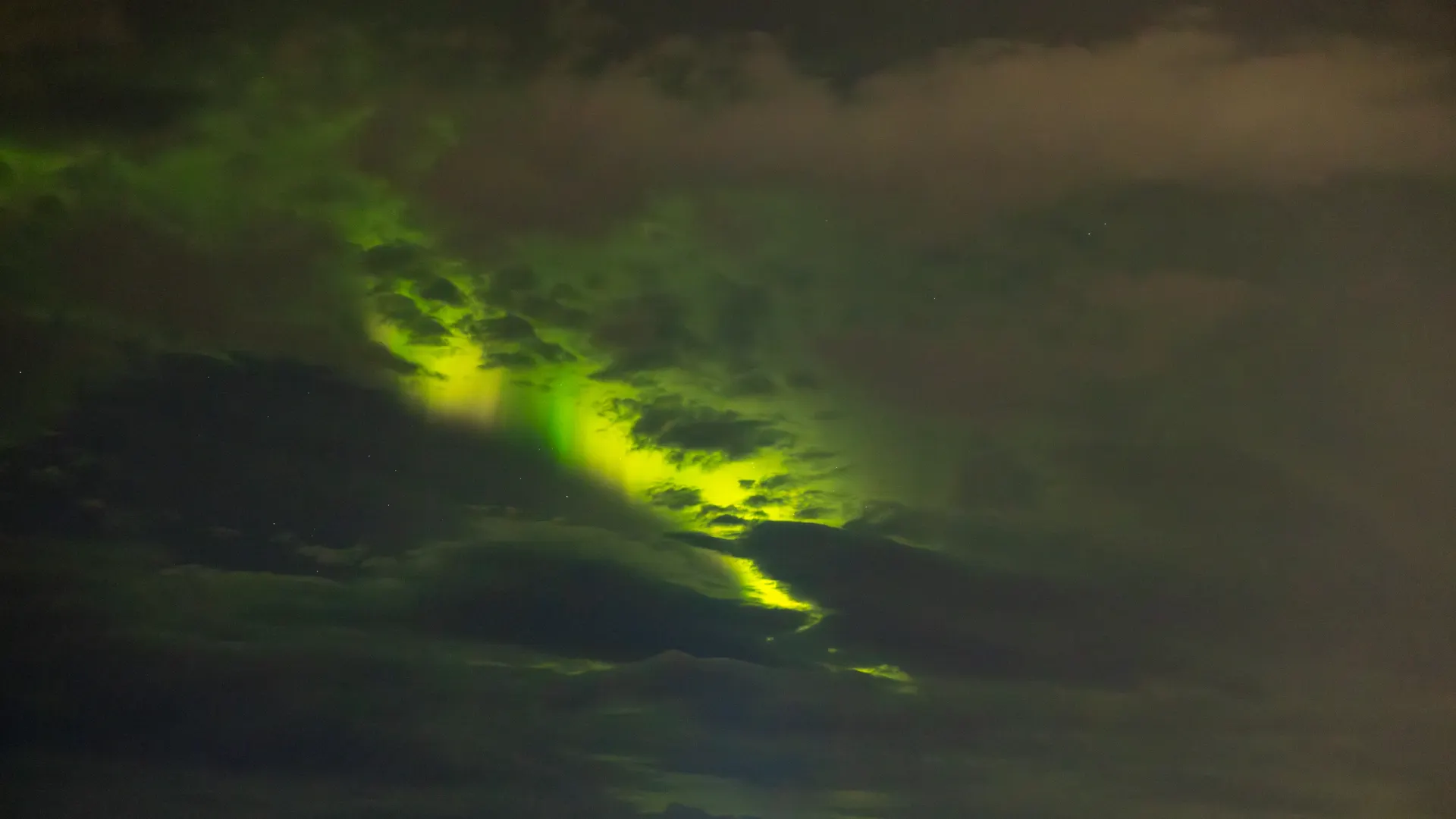 Фото: Федор Воронов / «Ямал-Медиа»