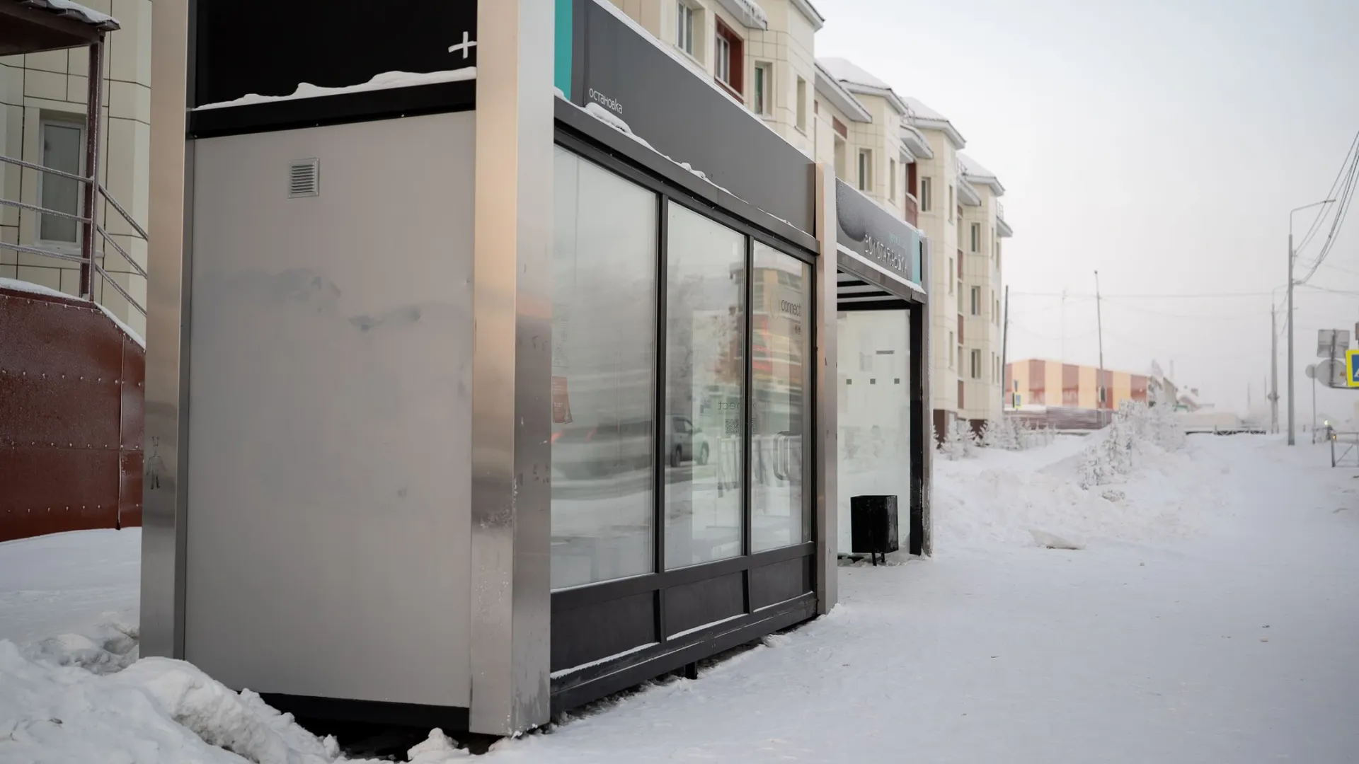 Фото: Сергей Зубков / «Ямал-Медиа»