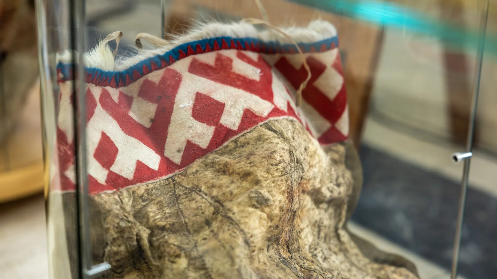 Фото: Василий Петров / «Ямал-Медиа»