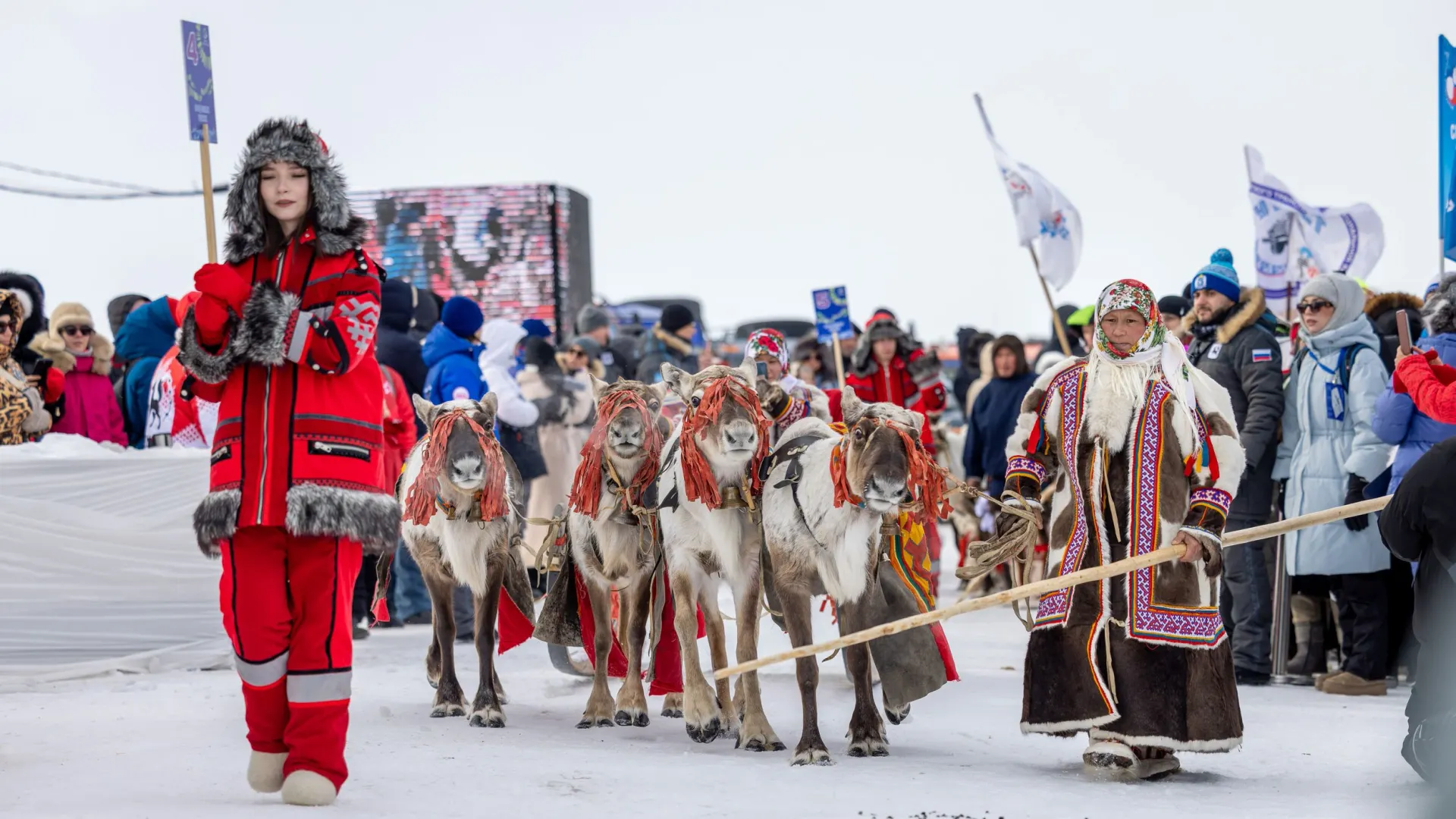 Фото: Федор Воронов / «Ямал-Медиа»