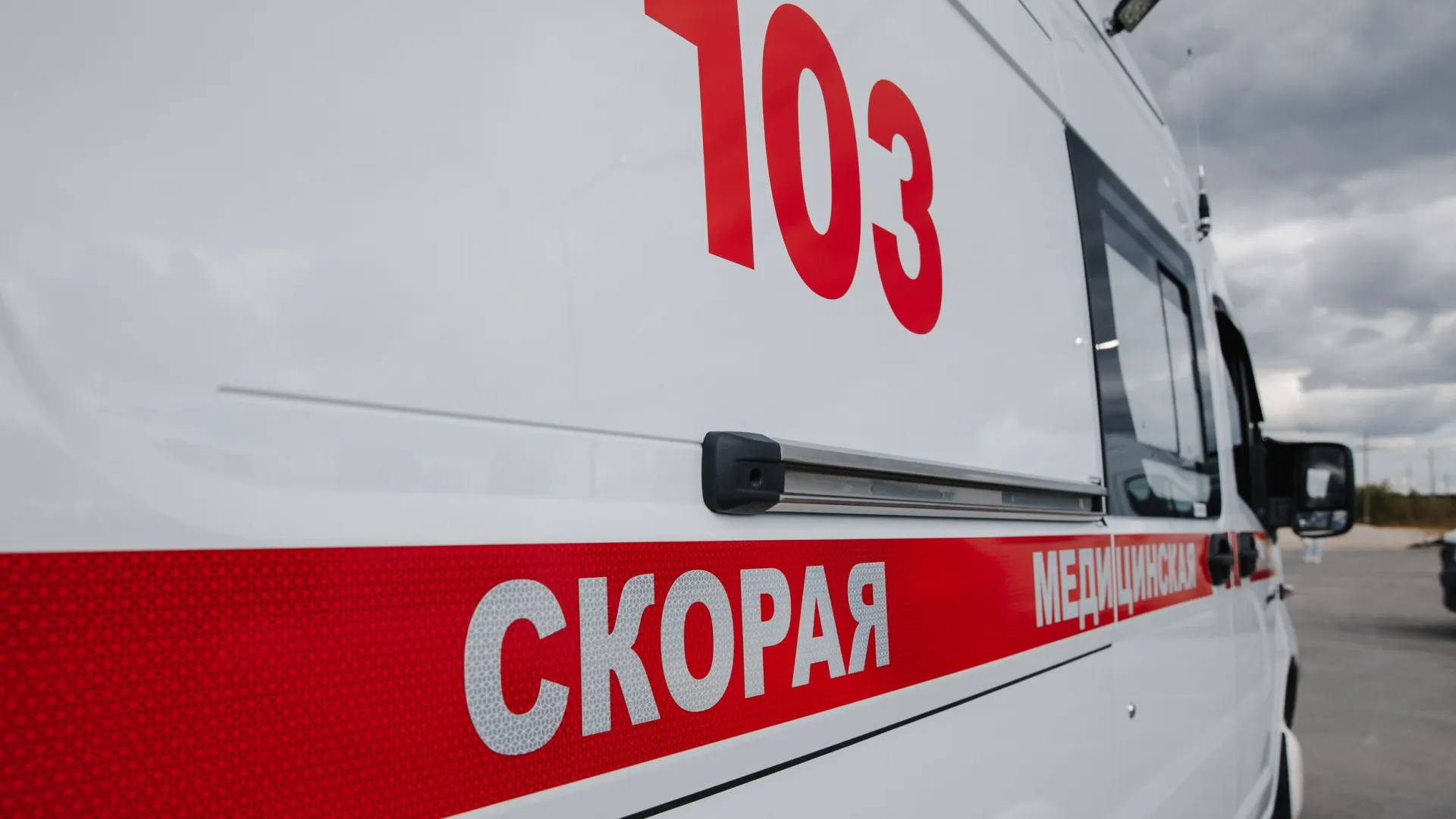 Фото: Алина Дьякова / «Ямал-Медиа»