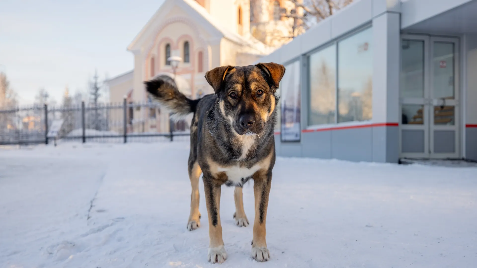 Фото: Сергей Зубков / «Ямал-Медиа»