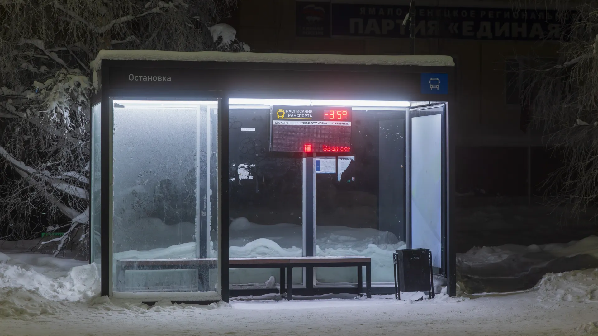 Фото: Федор Воронов / «Ямал-Медиа»