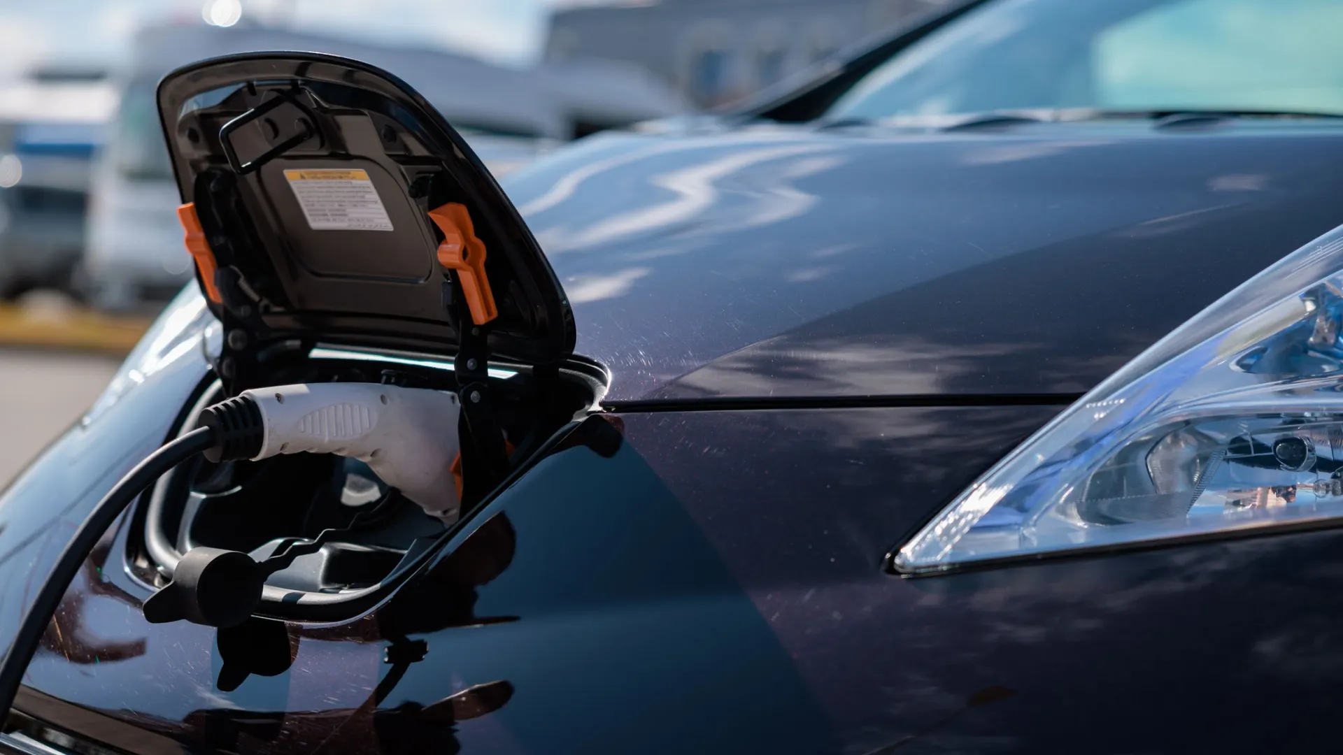 Фото: Сергей Зубков / «Ямал-Медиа»