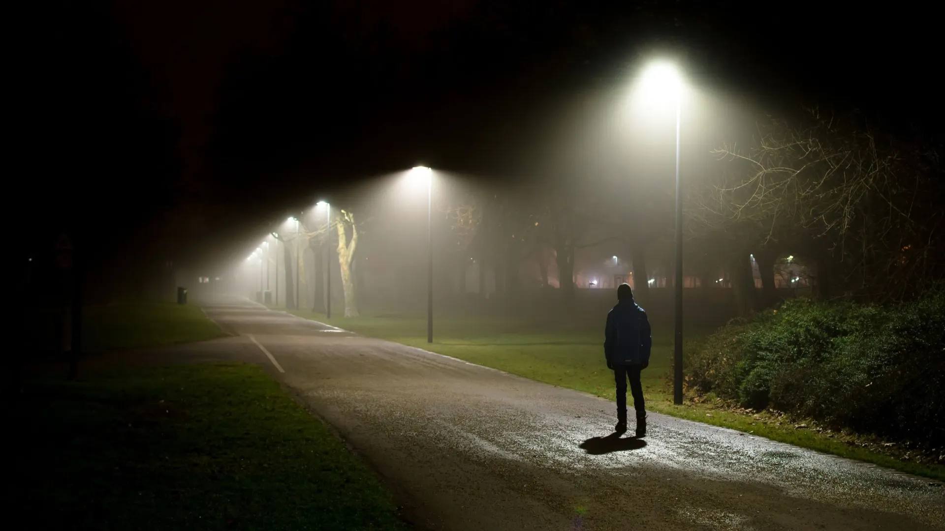 Фото: grafxart/Shutterstock/Fotodom