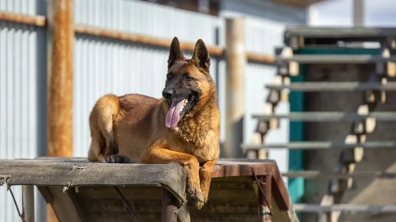 Фото: Федор Воронов / «Ямал-Медиа»
