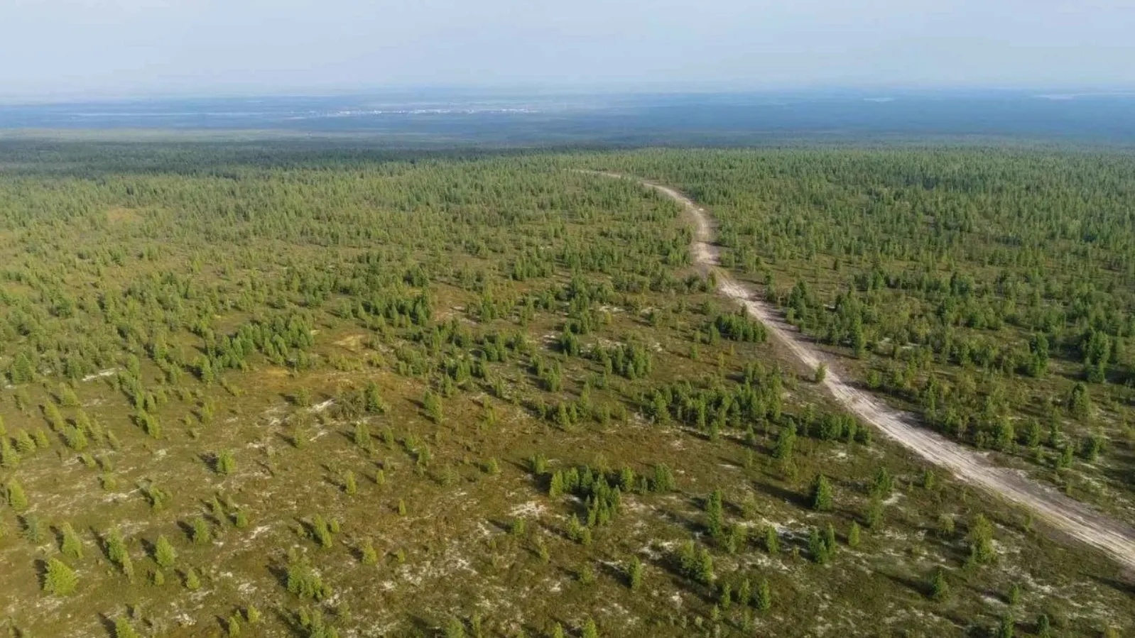 Фото: предоставлено Игорем Сегедой